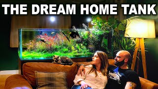 Building My Dream Home Community Tank: The Full Aquarium Build Story