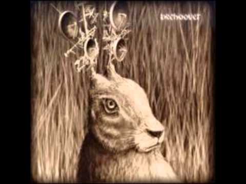 Beehoover - Spirit Crown