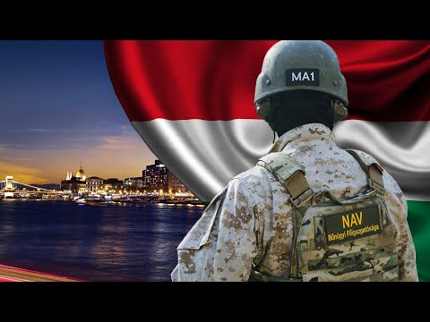 The Hungarian NAV MERKUR | POV | I AM A SHEEPDOG I LIVE TO PROTECT THE FLOCK