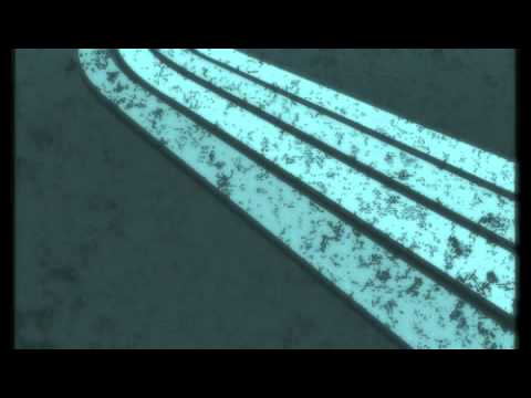 Leaking Shell - Violet Sun (Original Mix)