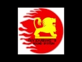 i am a witness.wmv