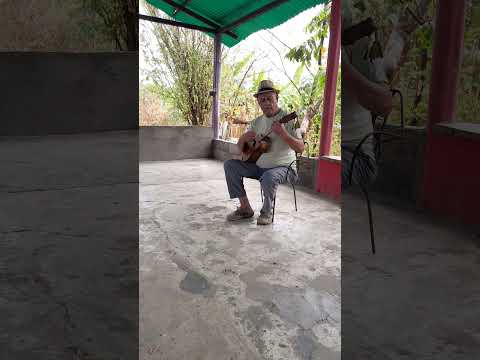 CECICILIO BRICEÑO CULTOR MUSICAL DE LAS LOCAINAS DE LA YUCA MUNICIPIO CRUZ PAREDES DE BARINAS.