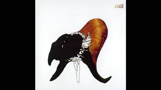 Coil - Sex With Sun Ra (Part One - Saturnalia)