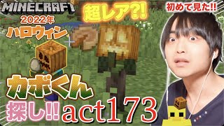 【マインクラフト】超レア?! ジャック・オ・ランタンを被った村人チビゾンビとの出逢い!!【2022年ハロウィン】【セイハのセハクラ実況act173】