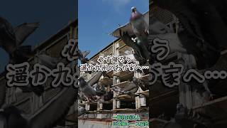 令和8年度 九州ブロック連盟GNレース