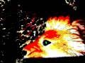 AT YOUR OWN RISK Leon Mata Lion Attacks Young Girl At Zoo