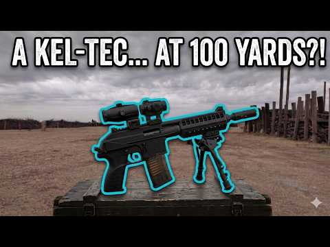 The Long Ranger Kel-Tec Pistol? | PLR-22 Precision Build
