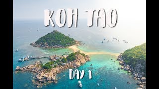 KOH NANG YUAN DIVING | KOH TAO VLOG DAY 1