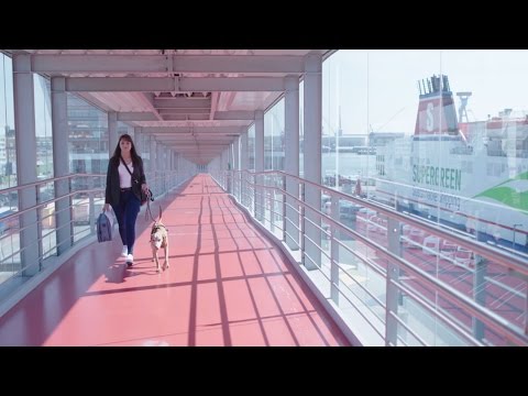 Stena Line -  Mit dem Hund an Bord der Fähre