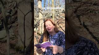 Download lagu Puisi Hari Ini untuk Pecinta Kopi. Dalam rangka Bulan Puisi Nasional #napowrimo #poemaday mp3