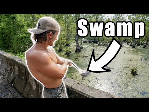 What Will We Find Magnet Fishing In This Swamp?