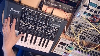Video thumbnail for Arturia MiniBrute Analog Synth Demo by SourceDistributionTV