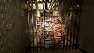 Backrooms: Escape Together_20260712012747