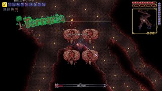 なんてきれいな脳みそなんだぁ　「だらだらテラリア」part6