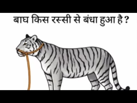 Mission GK GS Study Most important All Hindi GK QUESTION