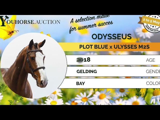 Odysseus trainingsvideo