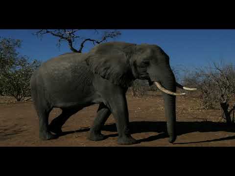 Chris Ray and Kim Jones — Photography and Travels in Africa | 7/18/2018