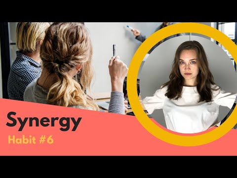 The 7 Habits Of Highly Effective Teens: Habit #6 (Synergy)