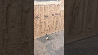 soil nailing method for vertical slope stabilization in building foundation | pile foundation safety