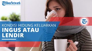 Mengenal Pilek, Kondisi Hidung Mengeluarkan Ingus atau Lendir secara Terus Menerus Atau Sesekali