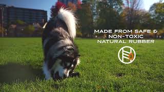 Monster K9   ChewStick