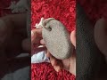 Can I Use Pumice Stone On My Body Best Pumice Stone For Calluses On Feet