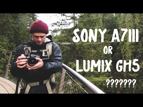 Sony A7iii OR Panasonic GH5???