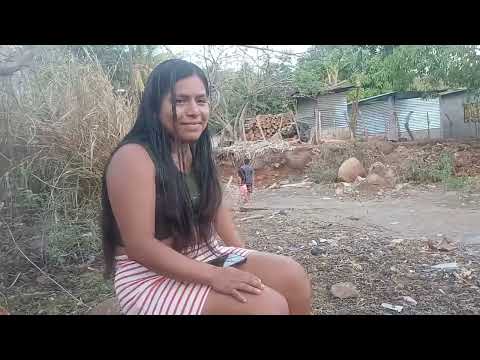 conozcan La colonia  las FLORES 💐  hermosas como todas 