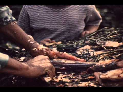 Voice of My Grandmother Woodland Cree Series