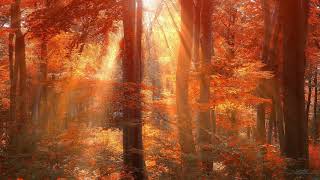 Les Feuilles Mortes  (Autumn Leaves)  -  Andrea Bocelli