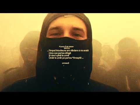 GLONTZU-jungla de BETON