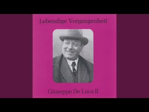 Povero Rigoletto!... Cortigiani (Rigoletto)