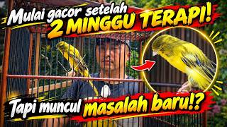 Download lagu lv 0 20261028074326 mp3