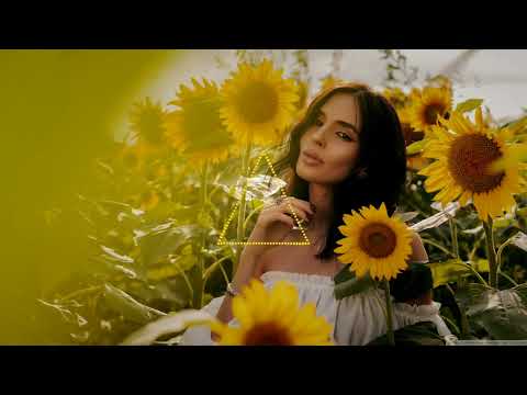 Fred again.., Swedish House Mafia - Turn On The Lights (Dimatik Hard Psy Remix)