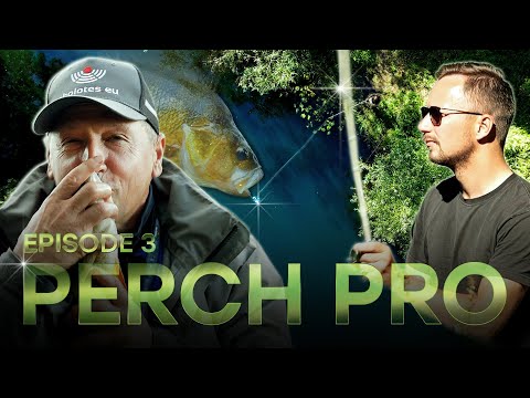 PERCH PRO 10 - Episode 3