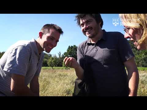 Understanding biodiversity loss play video