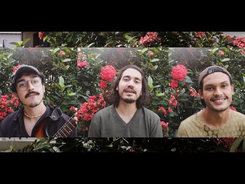 LOPINE - FREAKING OUT THE NEIGHBORHOOD (Mac Demarco)