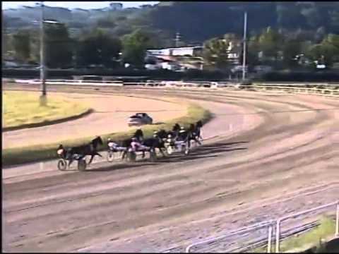 Trotto 08/06/2014 Corsa 8