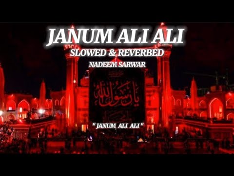 janum ali ali ❤️ { slowed & reverbed } by nadeem sarwar noha 