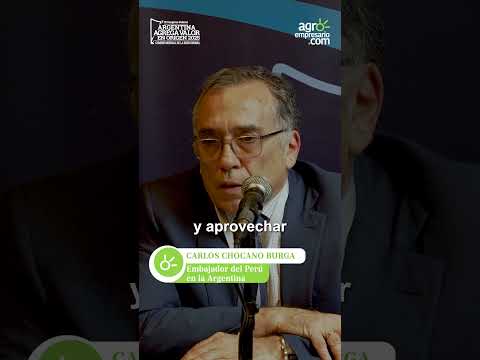 Carlos Chocano Burga Embajador de la Embajada de Perú