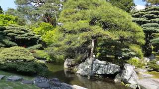 How to Use Layers, Textures, Pruning and Seasonal Color in Your Garden