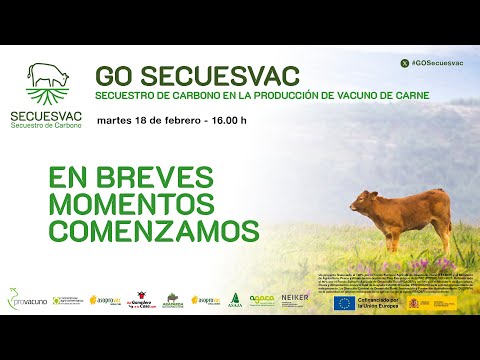 Fotograma del vídeo: GO SECUESVAC. Secuestro de carbono en la producción de vacuno