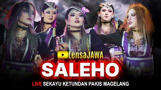 Download lagu Full Surup !!! Warok Nyai Bendolegi - SALEHO KARYA BUDAYA (ABAH LALA) - LIVE Sekayu Pakis Magelang mp3