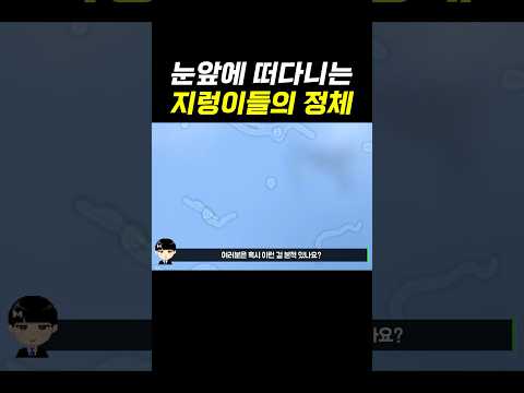 눈앞에 떠다니는 지렁이들의 정체