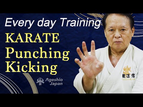 5 min Karate Training | Punching and Kicking | Ageshio Japan