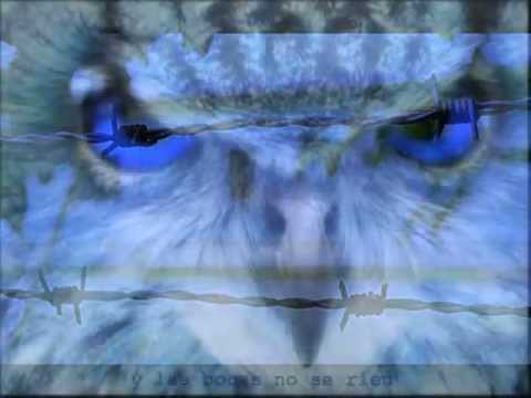 Blues del Terror Azul - Sociedad 12 8 - Videoclip oficial Gabispace 159