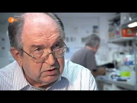 Frontal21-Sendung vom 6. August 2013 21:00