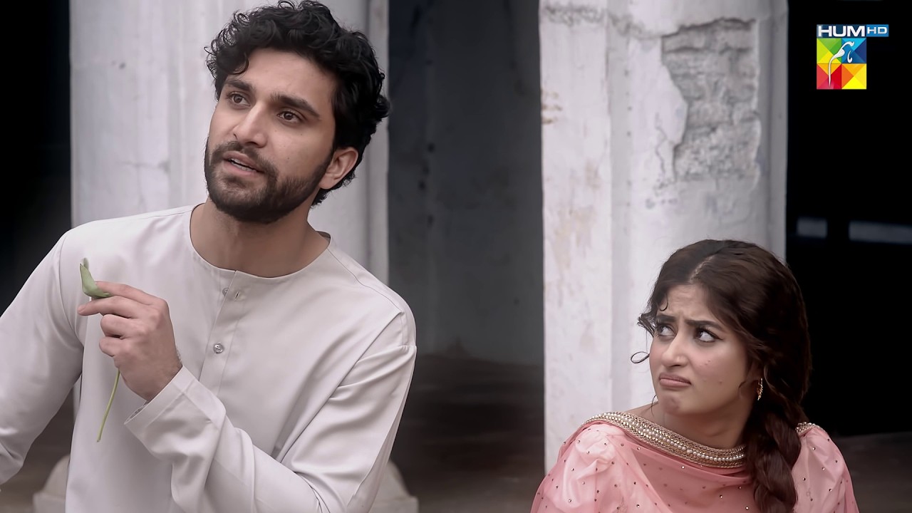 Khana Aik Jaisa Nahi, Tou Mulk Kaise Azaad Hoga...? #aangan #sajalaly #ahadrazamir #ahsankhan