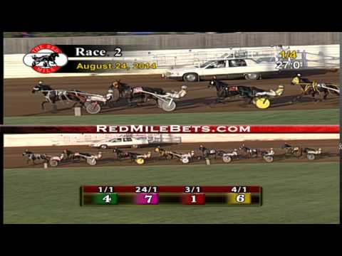 Red Mile Racetrack Race 2 08-24-14