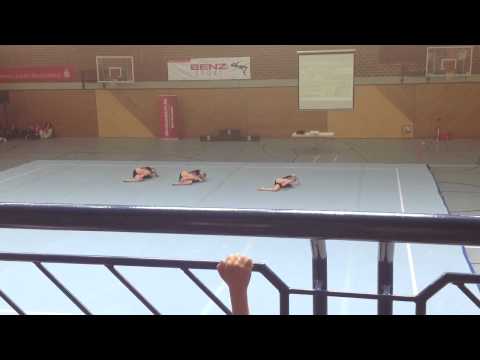 DM 2013-WG JUN1 COMBINED - Bräunlich, Jolitz, Sochor